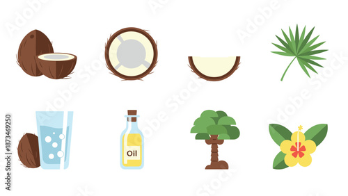 Tropical elements: coconut and palm leaf icons in flat design