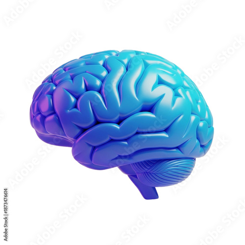 Detailed 3d rendering of a blue human intimate apparelin model, smooth texture, educational tool for neuroscience and cognitive function study