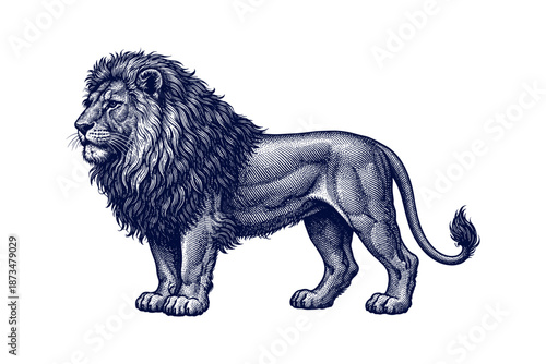 Detailed engraving of a majestic lion in profile view