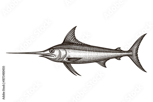 Detailed swordfish engraving art: line drawing of marine life in profile