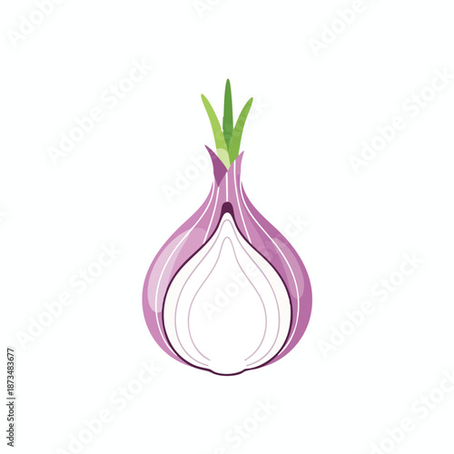 Illustration of a shallot with green shoots