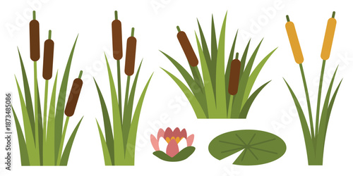 An illustration of various cattail plants and a water lily in a serene aquatic environment