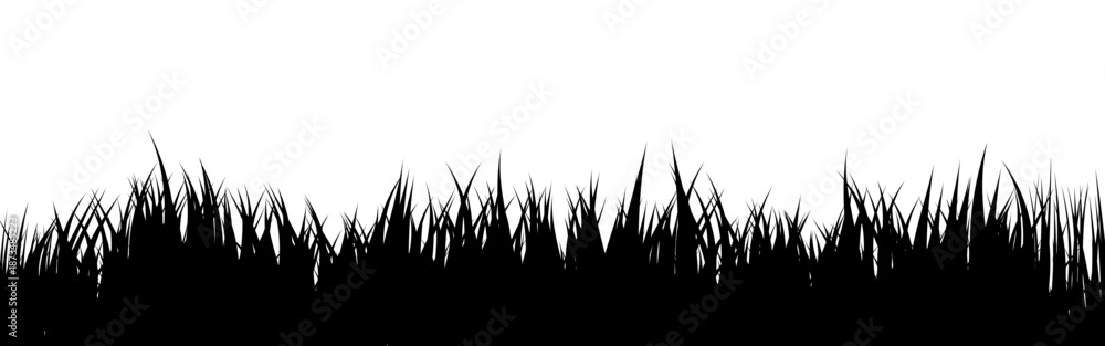 Naklejka premium Meadow silhouette with grass, plants on plain. Panoramic summer lawn landscape with herbs, various weeds. Herbal border, frame element. Black horizontal banners. Vector illustration
