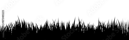Meadow silhouette with grass, plants on plain. Panoramic summer lawn landscape with herbs, various weeds. Herbal border, frame element. Black horizontal banners. Vector illustration