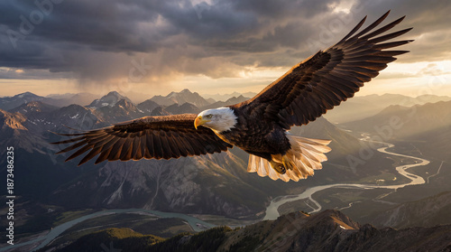 Bald Eagle Flying Over Mountain Landscape