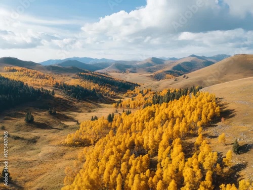 Golden Aspen Autumn Valley Landscape.