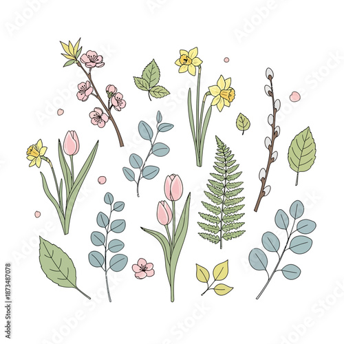 Spring floral elements: daffodils, tulips, cherry blossoms, fern, leaves, pussy willow.
