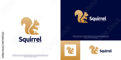 logo with a friendly and elegant concept, wild animals, sitting squirrels, vector design illustration.