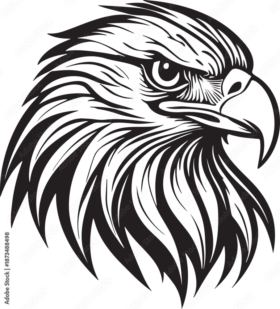 Obraz premium Bald Eagle Head Illustration