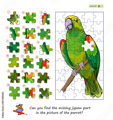 Game find and search. Can you find the missing jigsaw part in the picture of the parrot? Logic puzzle. Kids brain teaser book. Flat hand drawn vector. Task for attentiveness. Develop spatial thinking
