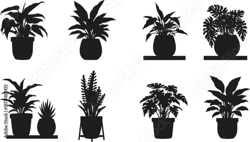 Set of black potted plant silhouettes, indoor houseplants in decorative pots, modern botanical icons for home decor, design, and illustrations