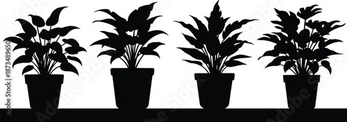 Silhouette of potted indoor plants on shelf, elegant botanical decoration, minimalist black plant shapes for home decor, nature art design