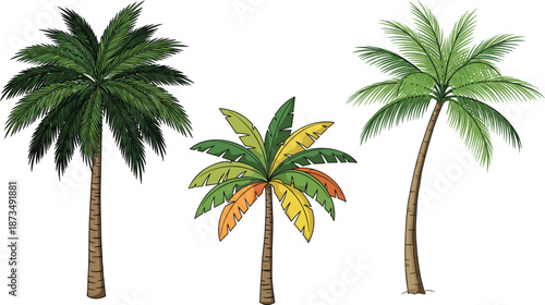 Set of detailed tropical palm trees with colorful leaves and realistic textures, perfect for beach themes, summer designs, exotic landscapes, and nature illustrations
