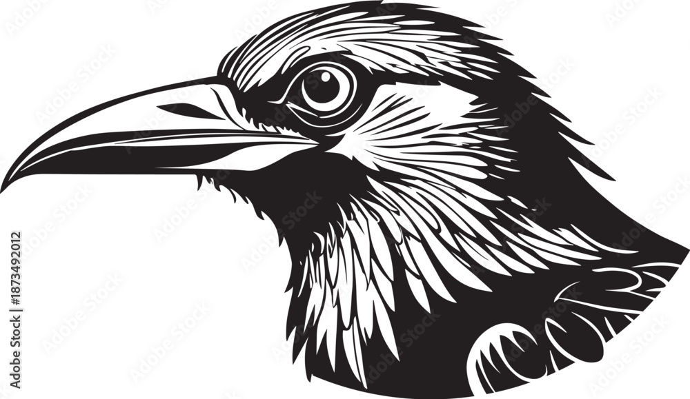 Obraz premium Crow Raven Black Bird Head Illustration