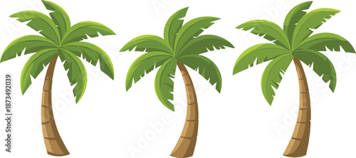 Set of three cartoon tropical palm trees with curved trunks and lush green leaves, perfect for beach, summer, island, nature, and travel designs