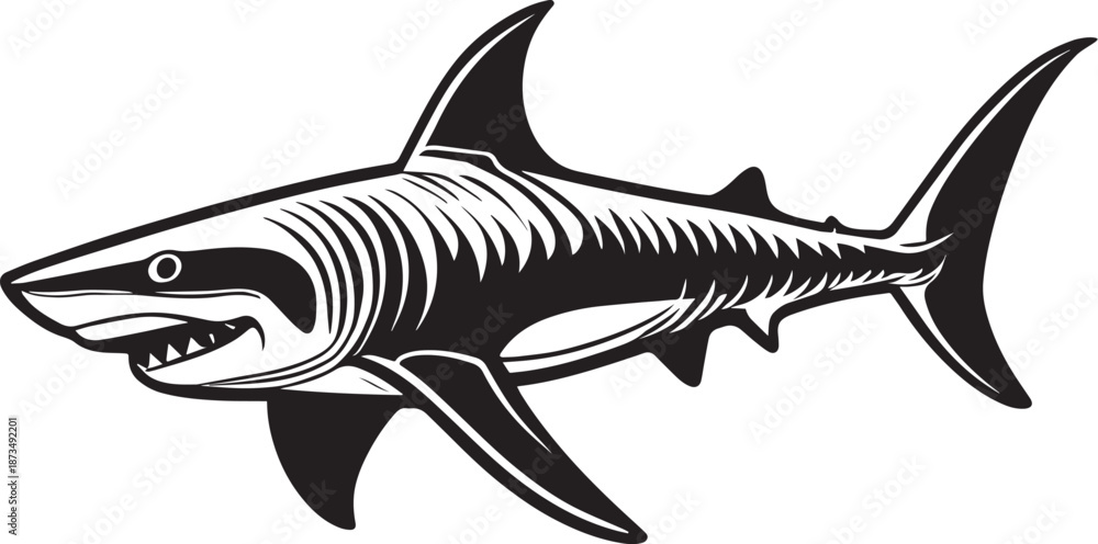 Fototapeta premium Great White Shark Illustration