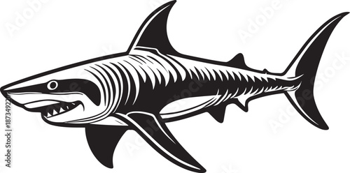 Great White Shark Illustration