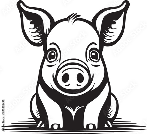 Front Facing Cartoon Pig Illustration