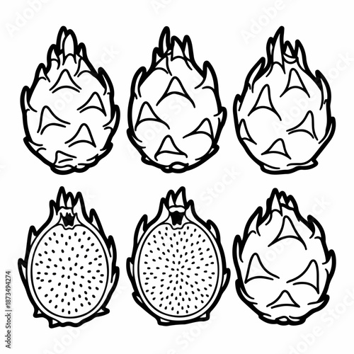 Black and white doodle set of dragon fruit, featuring whole and halved pitaya, tropical exotic fruit line art illustration suitable for coloring or design elements.