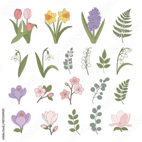 Spring floral elements and botanical illustrations set