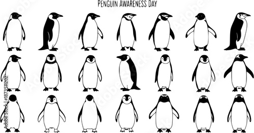 Penguin Awareness Day vector illustration, cute black and white line art animal collection, funny cartoon birds