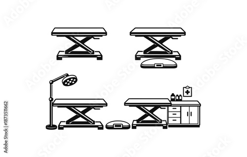 Veterinary clinic equipment set with exam tables and veterinary tools