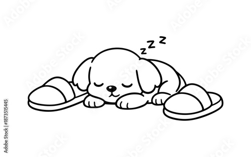 Cute cartoon dog sleeping peacefully between slippers with zzz symbols above