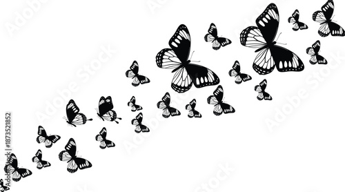 Black butterfly swarm silhouette flying in a group trail isolated on white background vector illustration for decorative wall art and design