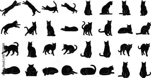 Black cat and elephant silhouettes set, various feline and wildlife poses, jumping, walking, sitting, stretching, isolated vector illustration collection for pet and animal design,