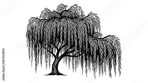 A majestic willow tree stands alone with drooping branches in a serene landscape viewed from the side