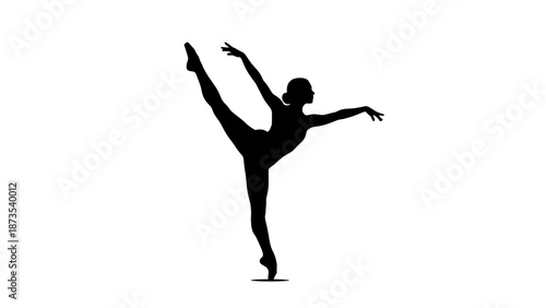 A ballet dancer performs an elegant pose on one leg against a white background