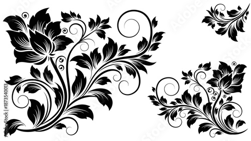 Intricate black floral illustrations with swirling leaves and stems on a white background from a close-up viewpoint