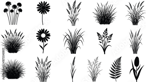 Botanical plant silhouettes, wild grass flowers set, natural foliage elements, meadow plants collection, black nature illustration, floral design assets