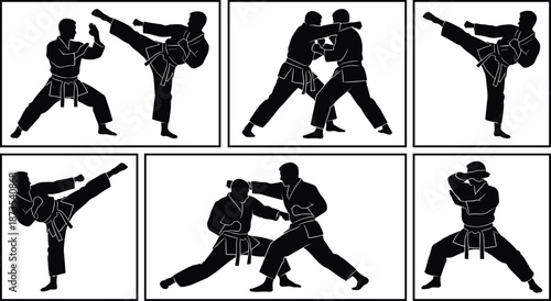 Karate combat silhouettes, martial arts fighting poses, sparring techniques, kicks punches actions, self defense training, combat sport illustration set