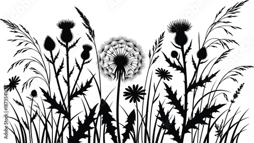 Wild meadow flower silhouettes, dandelion thistle grass plants, natural botanical landscape, black floral illustration, nature foliage design, countryside artwork