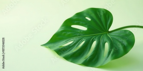 Vibrant green leaf with striking perforations on a soft, subtle, pastel background evoking a sense of natural beauty and tranquility