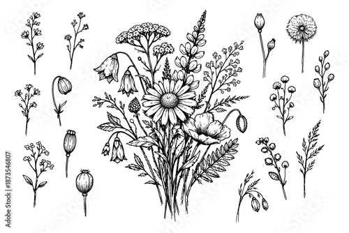 Intricate black and white botanical illustration featuring diverse wildflowers