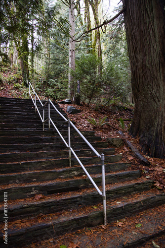 Scenic Wooden Pathway: Hiking Trail at Bamberton Provincial Park, vancouver island, bc, british colombia, canada