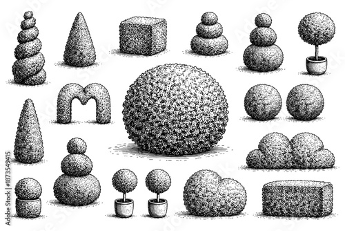 Intricate black and white topiary art featuring diverse geometric shapes