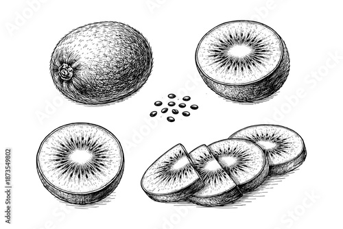 Detailed black and white kiwi illustration with slices and seeds