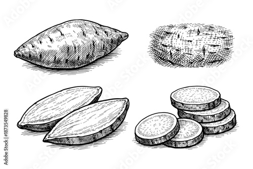 Hand-drawn sweet potato variations in vintage style