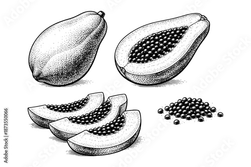 Detailed black and white papaya illustrations with seeds