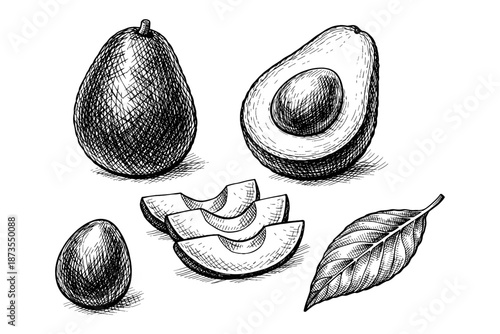 Hand-drawn avocado illustrations with whole, halved, seed, slices, and leaf