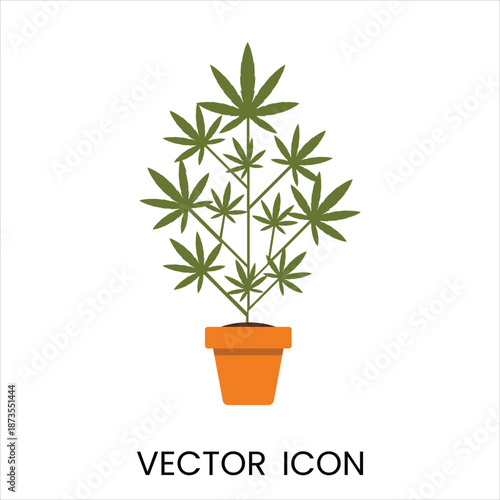 Cannabis plant in pot vector illustration, flat design graphic