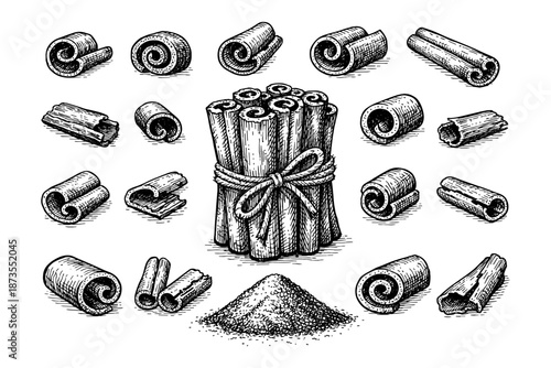 Collection of hand-drawn cinnamon sticks and ground cinnamon on white background