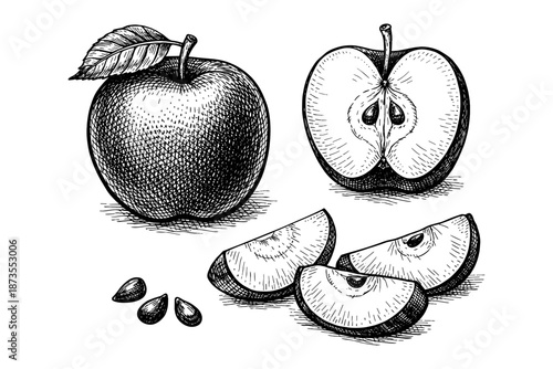 Detailed black and white sketch of whole and sliced apples with seeds