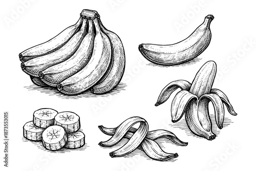 Hand-drawn banana illustrations with peels and slices