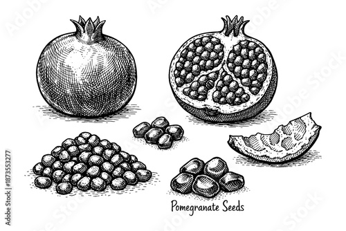 Detailed hand-drawn pomegranate and seeds illustration in black and white