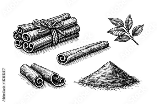 Vintage cinnamon sticks and powder with leaf sketch illustration