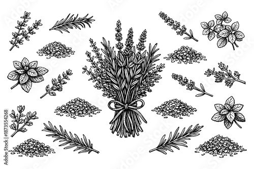 Herbs and spices illustration: thyme, rosemary, lavender, oregano bunches and piles